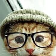 Kedigiller kullanıcısının profil fotoğrafı