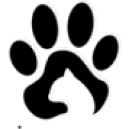 gizmocaa kullanıcısının profil fotoğrafı